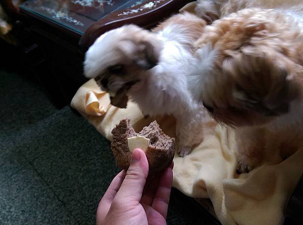 2014-10-18 14.42.11.jpg