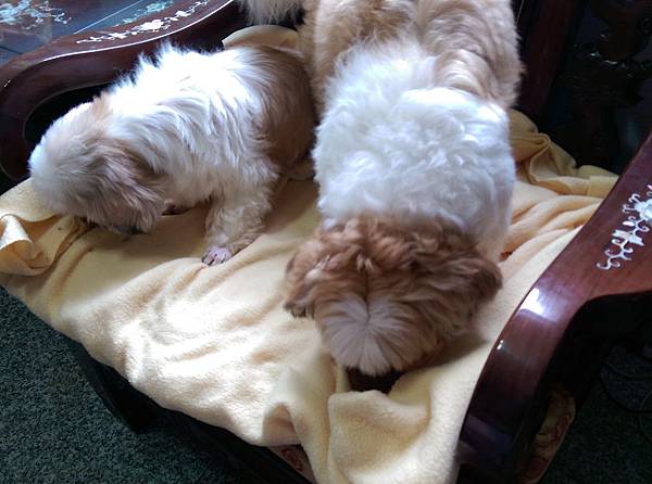 2014-10-18 14.42.18.jpg