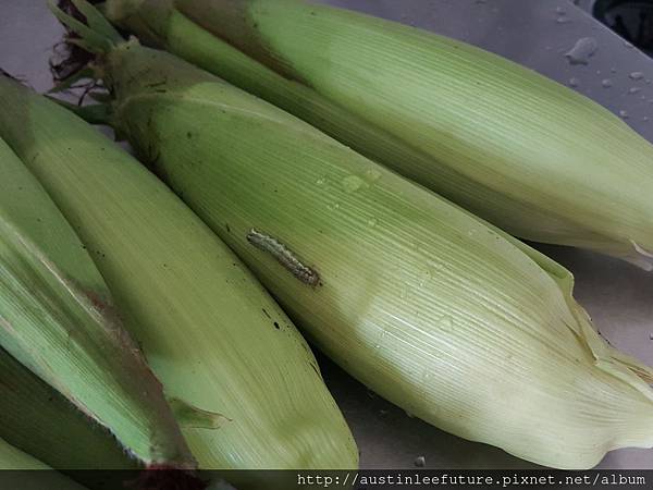 2015-05-30 07.03.28.jpg 2015-05-30 07.03.28.jpg