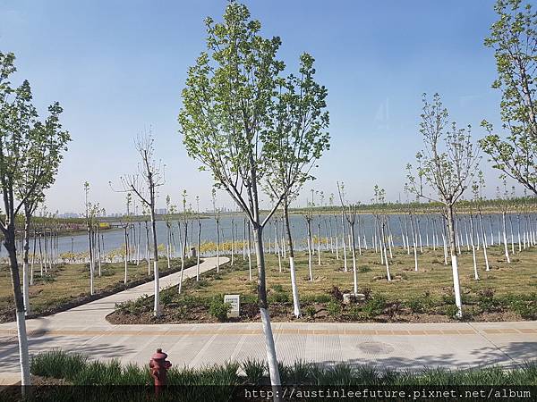 2016-04-14 08.51.36.jpg 2016-04-14 08.51.36.jpg