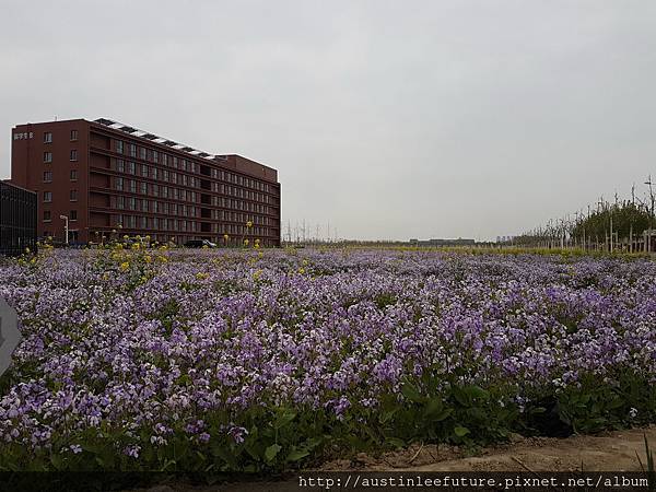 2016-04-11 12.50.13.jpg 2016-04-11 12.50.13.jpg