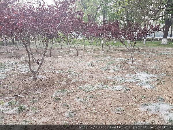 2016-04-13 17.05.14.jpg 2016-04-13 17.05.14.jpg