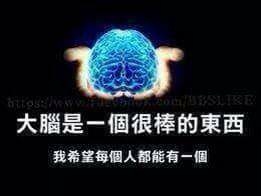 我希望每個人都能有一個大腦.jpg