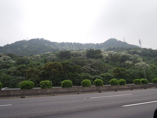 DSCN0589.JPG