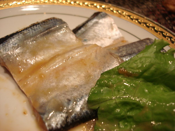 DSC03151.JPG DSC03151.JPG