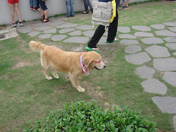 DSC04078.JPG
