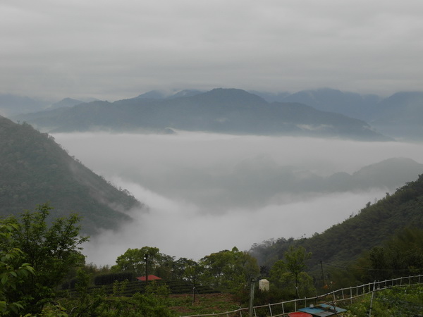 SAM_1871.JPG SAM_1871.JPG