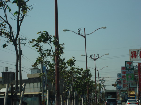 DSC08248.JPG