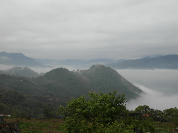 SAM_1872.JPG SAM_1872.JPG