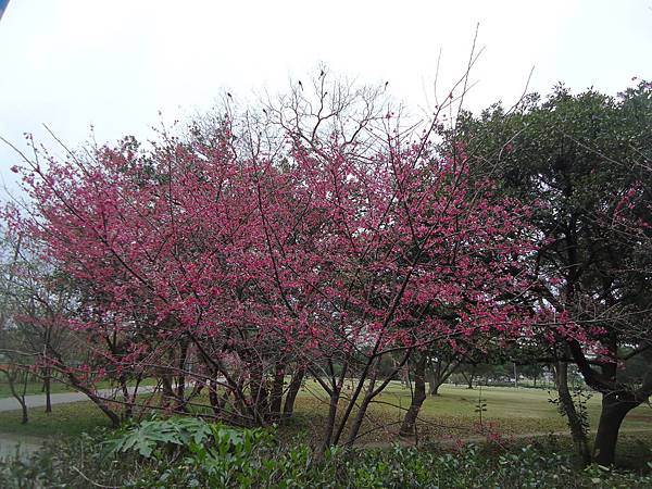 保養心血管遠離心臟病