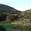 陽明山之大屯山風景區.JPG