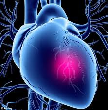 心血管疾病預防與治療