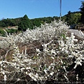DSCF3585.jpg