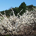 DSCF3600.jpg