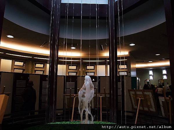 2011-03-26溪頭 440_nEO_IMG.jpg