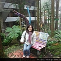 2011-03-26溪頭 077_nEO_IMG.jpg