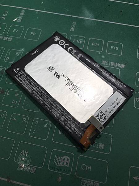 蝴蝶更換電池(1).jpg 蝴蝶更換電池(1).jpg