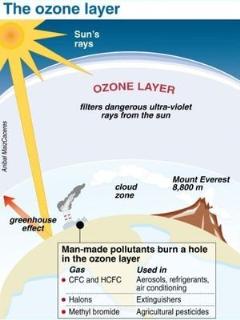 北極臭氧層破洞 5個加州大.jpg