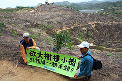 造林政策失當 反加速國土流失-1.jpg
