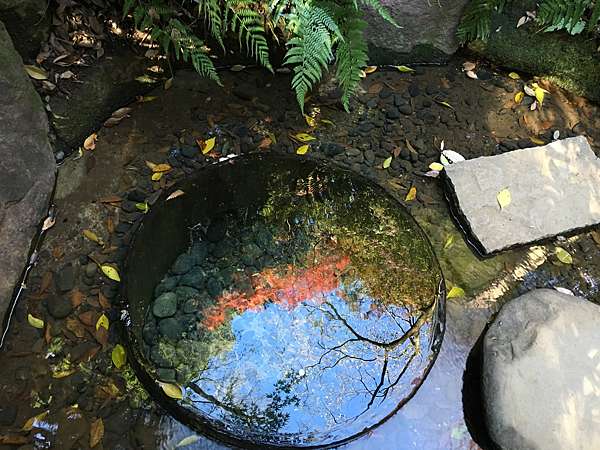 明治神宮清正井 Tin S 東京房市 日語知識 生活瑣事 痞客邦