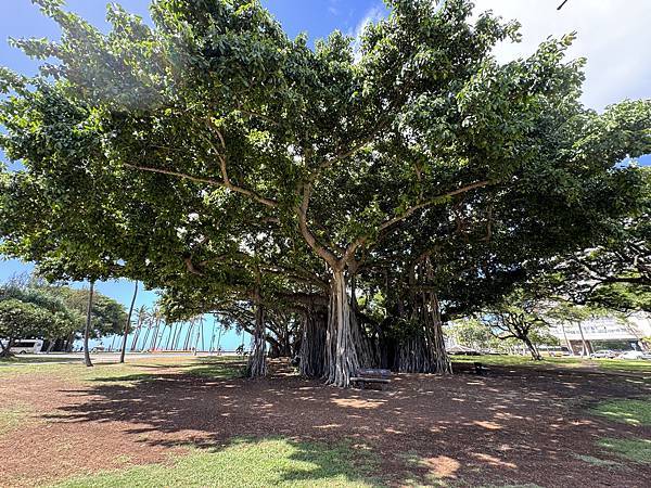 Honolulu Zoo