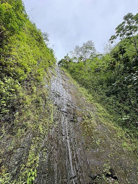 Manoa Falls