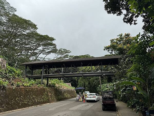 Manoa Falls