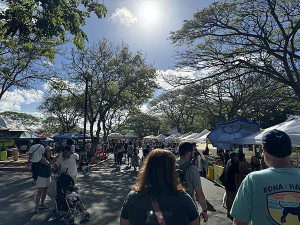 KCC Farmers Market 與旁邊的仙人掌