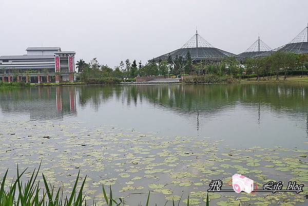P1090278.JPG P1090278.JPG