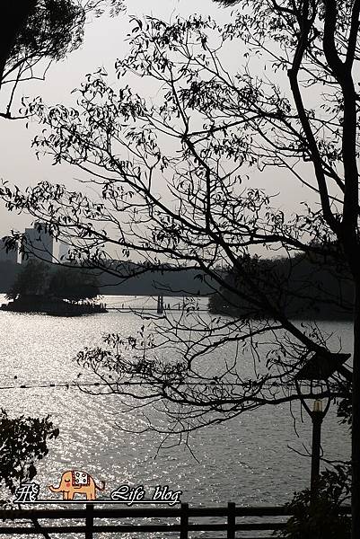 P1110655.JPG P1110655.JPG