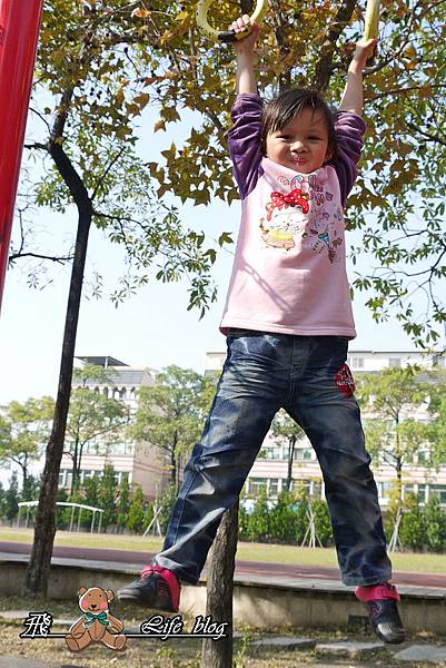 P1120307 P1120307