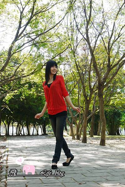 P1120910 P1120910