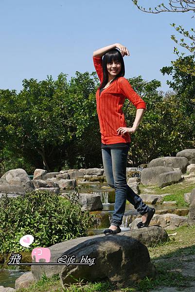 P1120978 P1120978