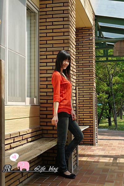 P1120938 P1120938