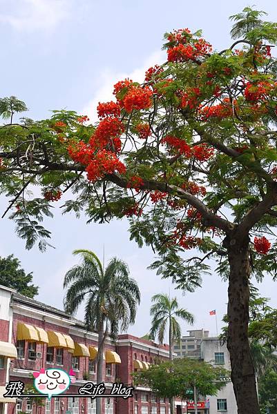 P1160834 P1160834