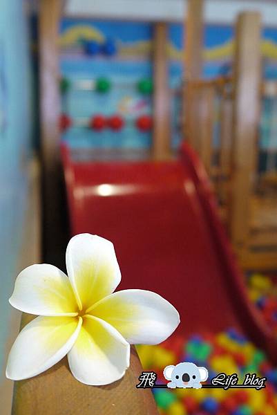 P1160550 P1160550
