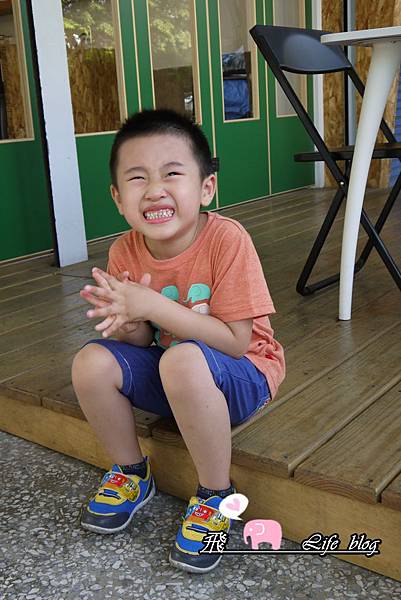 P1170136 P1170136