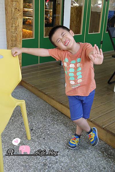 P1170109 P1170109
