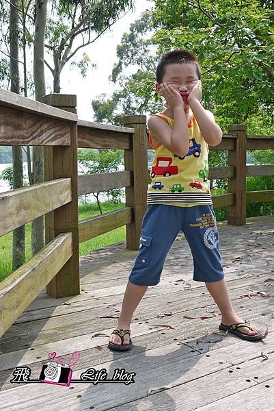 P1170274 P1170274