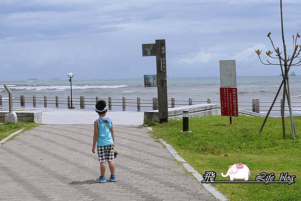 P1170934 P1170934