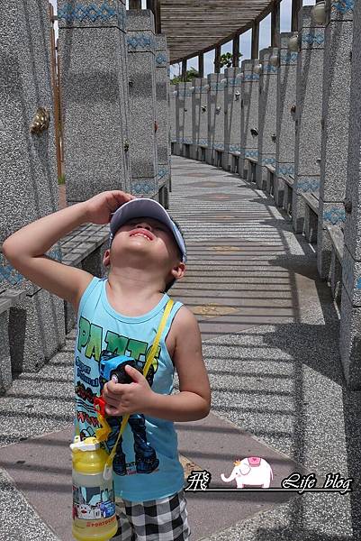 P1170883 P1170883
