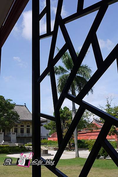 P1180449 P1180449