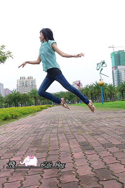 P1190099 P1190099