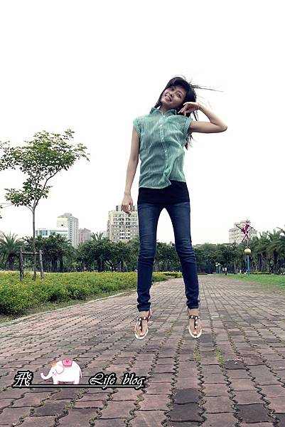 P1190101 P1190101