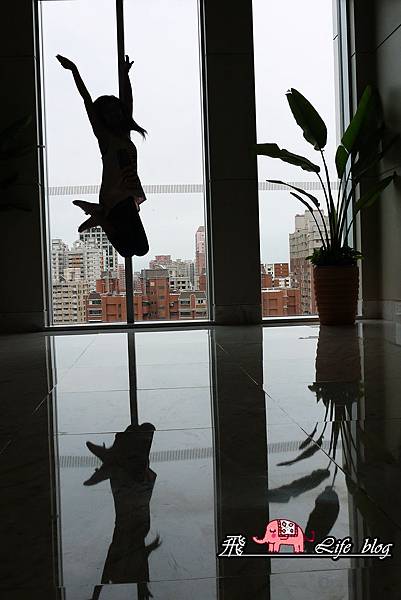 P1190299 P1190299
