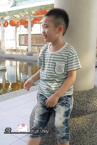 P1190772 P1190772