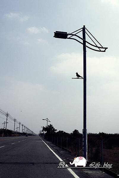 請輸入圖片標題 請輸入圖片標題