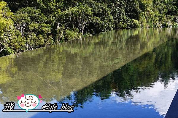 P1200362 P1200362