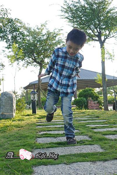 P1200946 P1200946