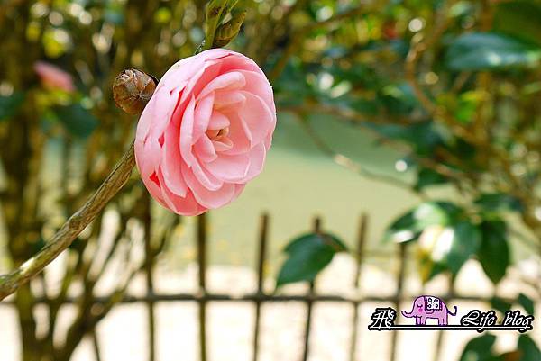 P1210598 P1210598